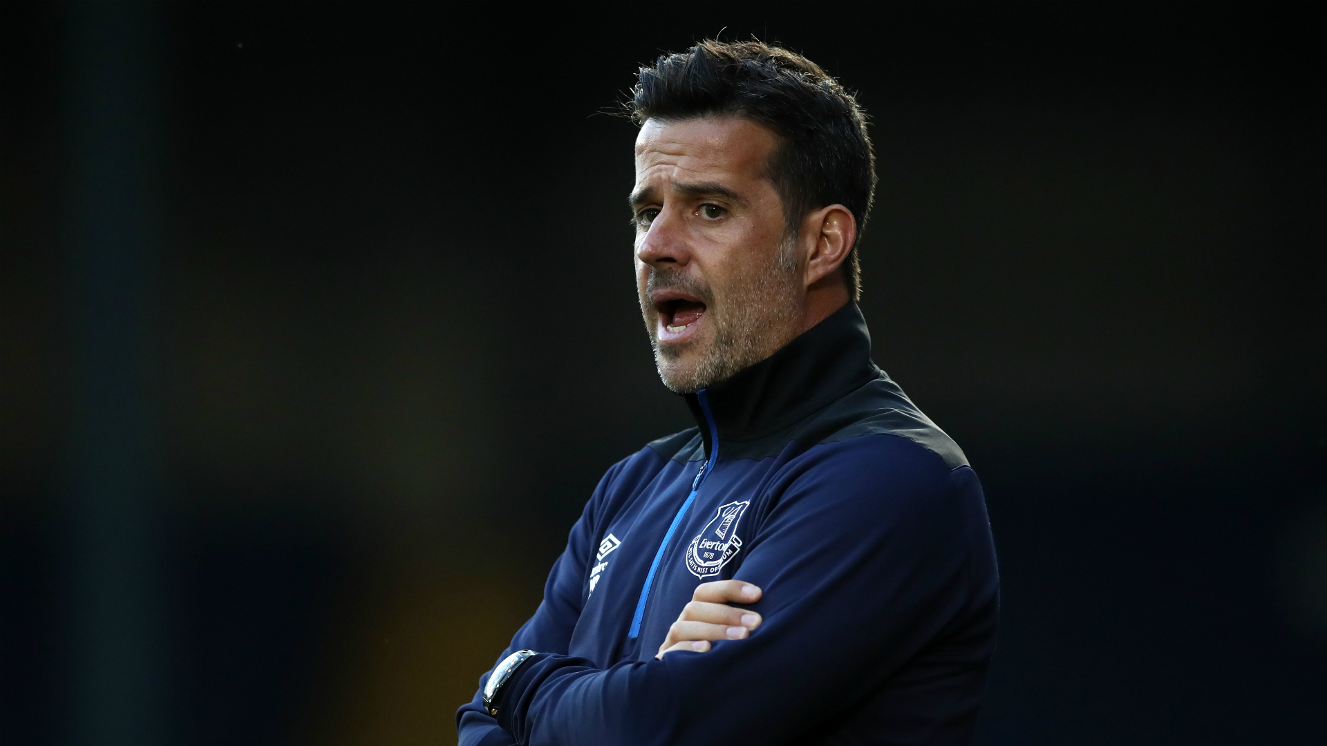 节日的欢快 节日的欢快